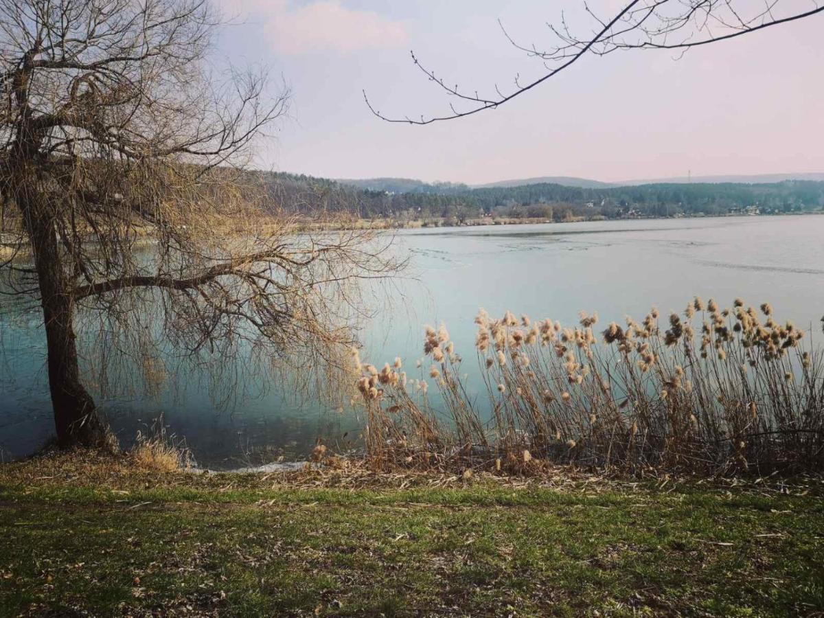Varga Villa Orfű 外观 照片