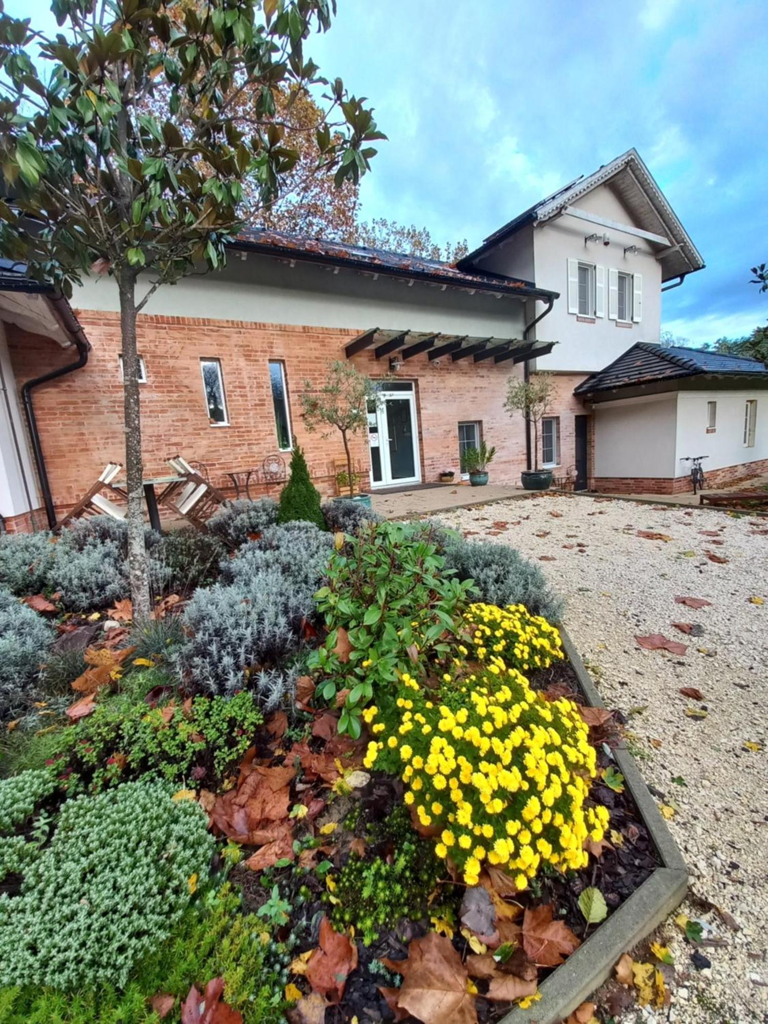 Varga Villa Orfű 外观 照片