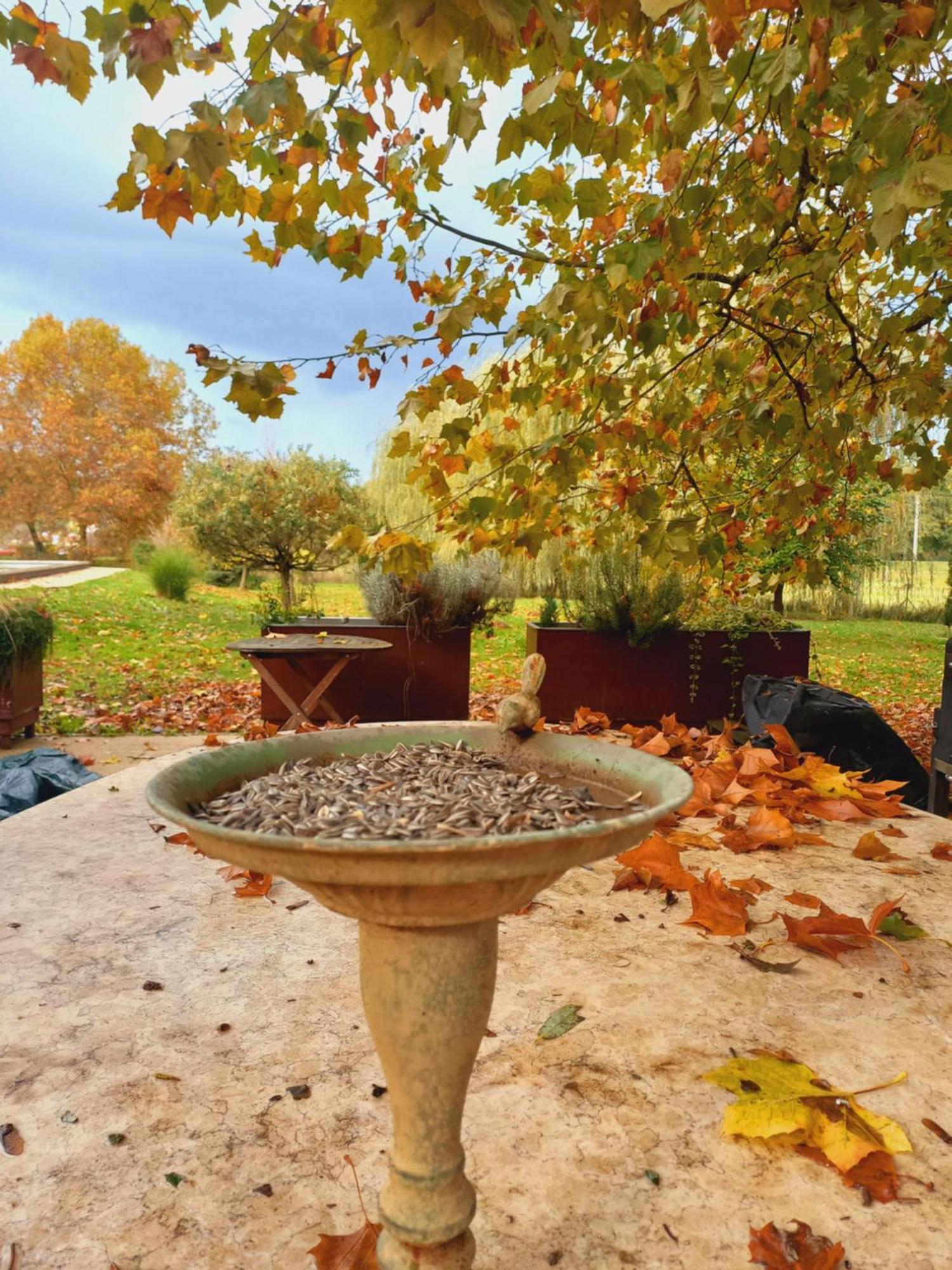 Varga Villa Orfű 外观 照片