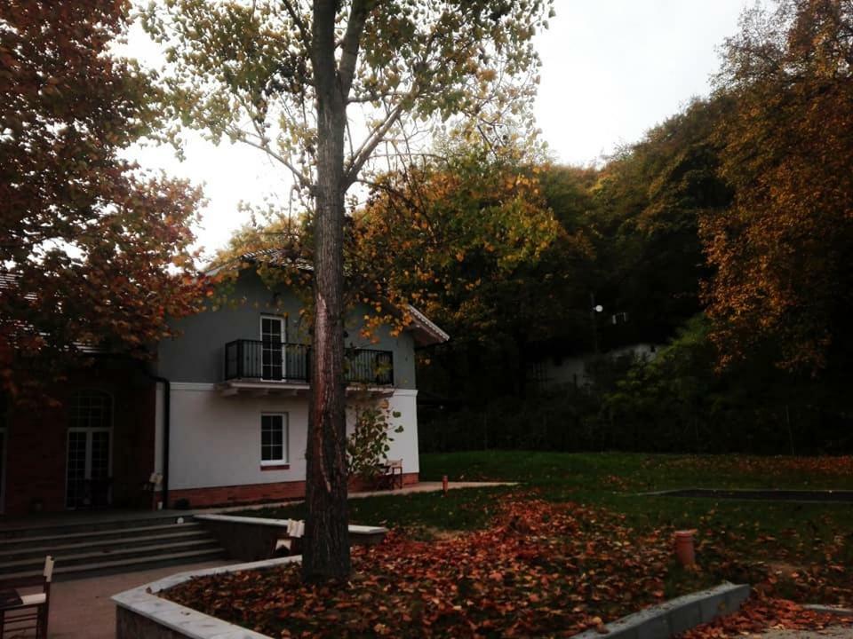 Varga Villa Orfű 外观 照片